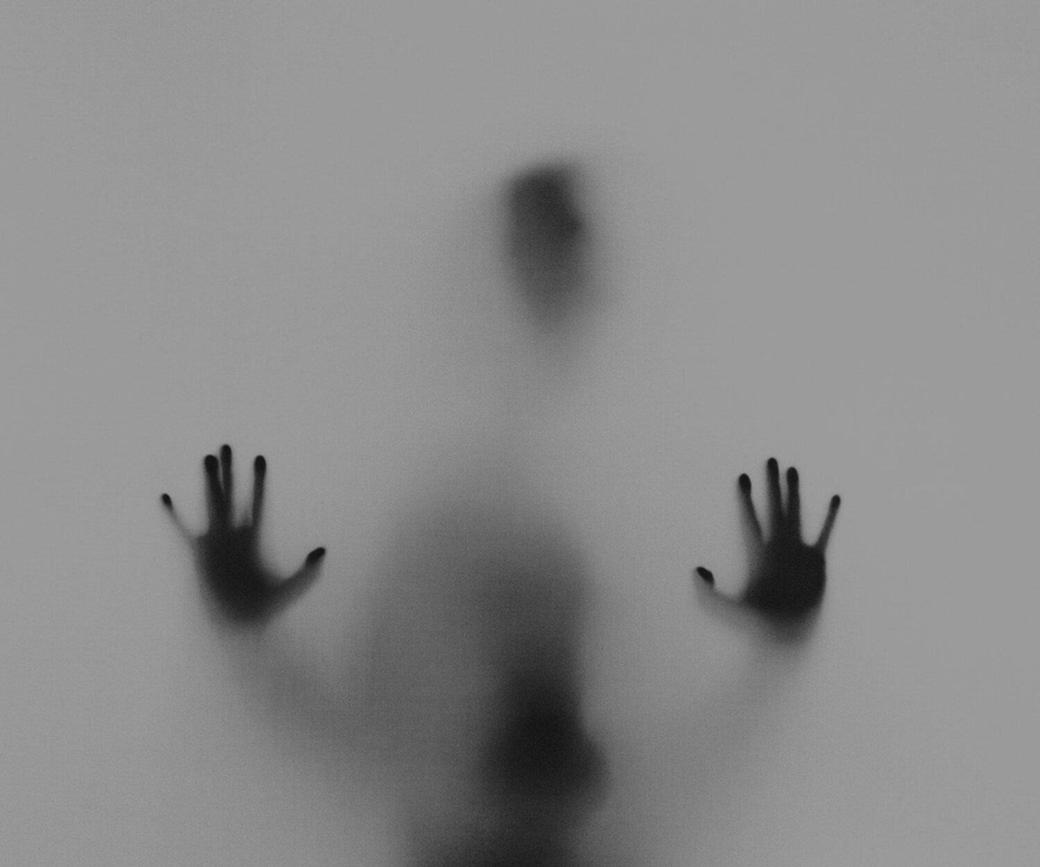 photo : Stefano Pollio